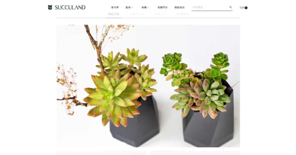 有肉 SUCCULAND 的耀光星辰雙入禮盒組官網商品圖
